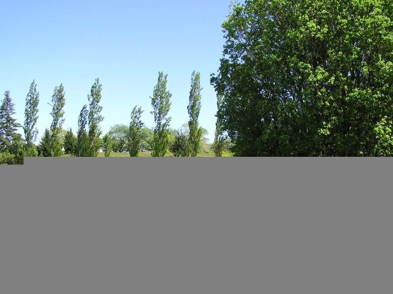 19 Pulfers Road, Dover TAS 7117