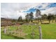 269 Woolleys Road, Lonnavale TAS 7109