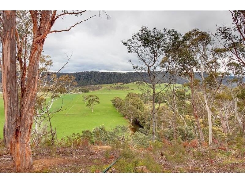 269 Woolleys Road, Lonnavale TAS 7109