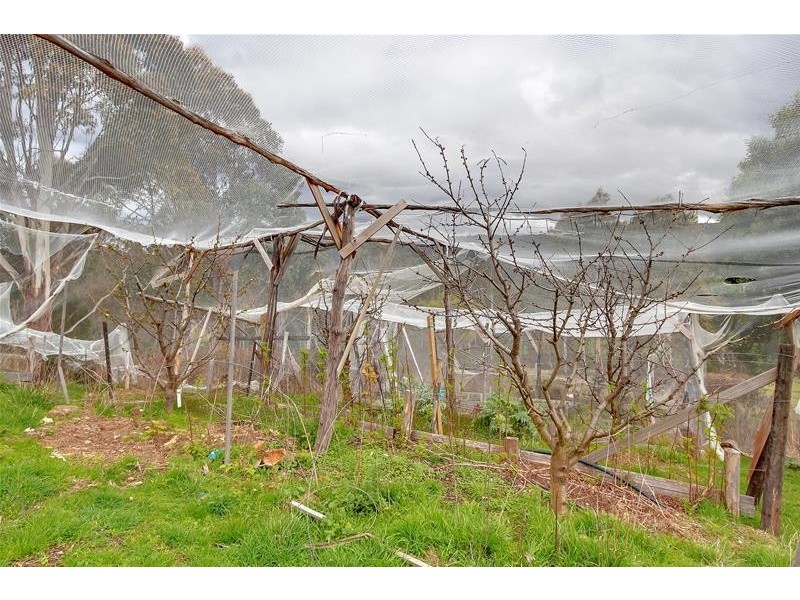 269 Woolleys Road, Lonnavale TAS 7109