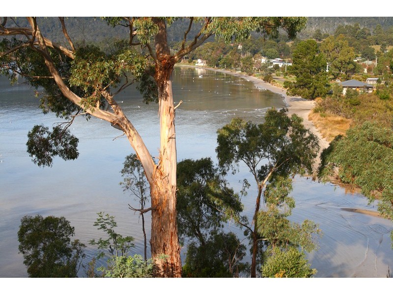 23 Harvey Town Road, Dover TAS 7117