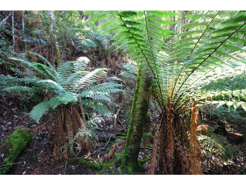 5790 Huon Highway, Surges Bay TAS 7116