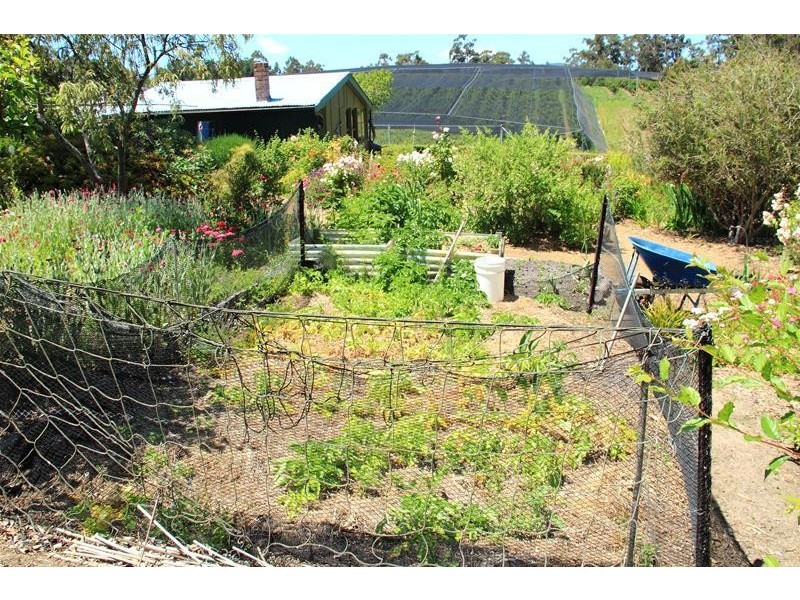 4061 Huon Highway, Castle Forbes Bay TAS 7116