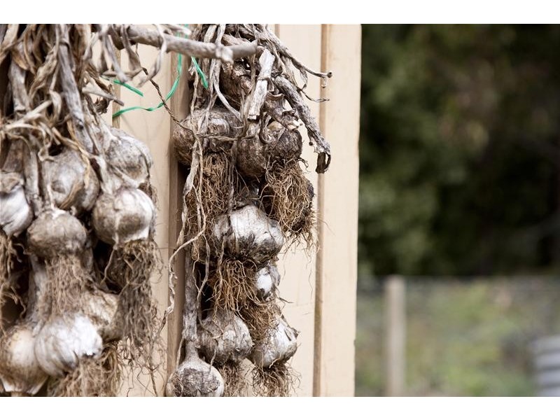 218 Risby Road, Middleton TAS 7163