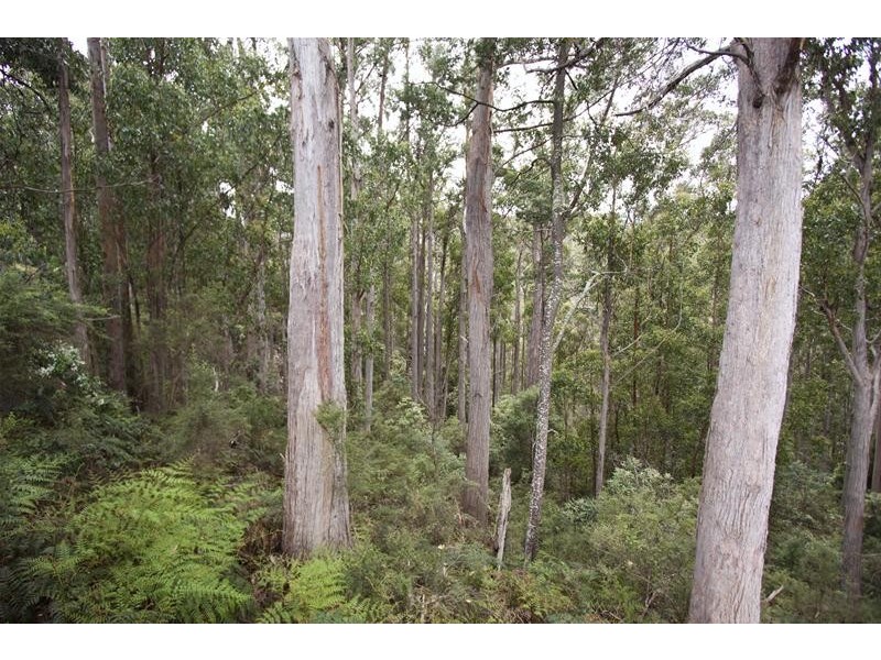 218 Risby Road, Middleton TAS 7163