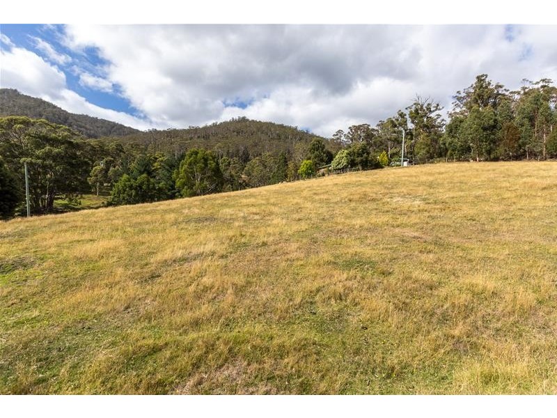 16 Kallista Drive, Huonville TAS 7109