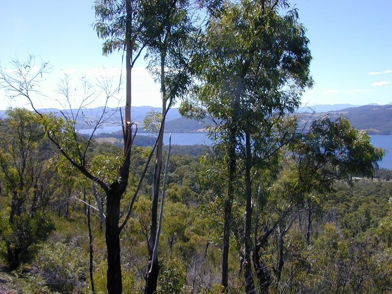 228580/1 Off Police Point Road, Glendevie TAS 7109