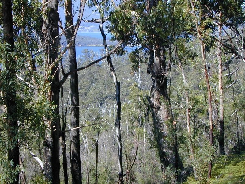 228580/1 Off Police Point Road, Glendevie TAS 7109