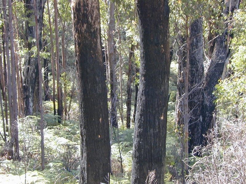 228580/1 Off Police Point Road, Glendevie TAS 7109