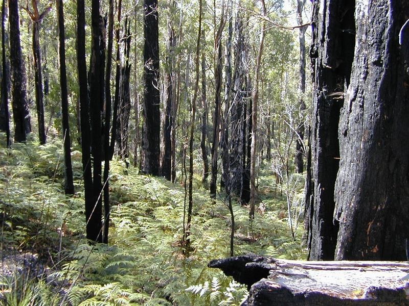 228580/1 Off Police Point Road, Glendevie TAS 7109