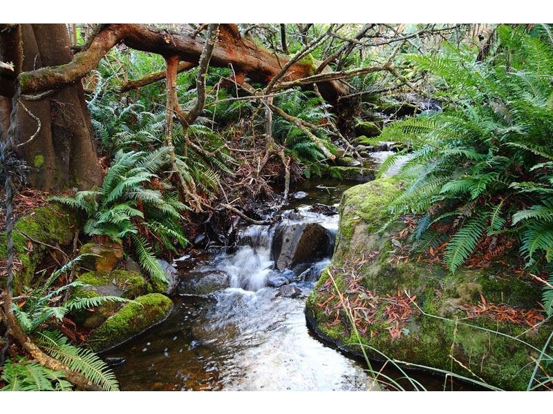 362 Bakers Creek Road, Lucaston TAS 7109