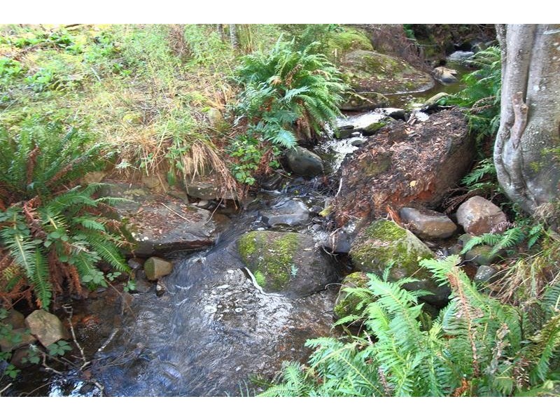 362 Bakers Creek Road, Lucaston TAS 7109