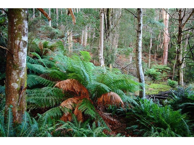 362 Bakers Creek Road, Lucaston TAS 7109