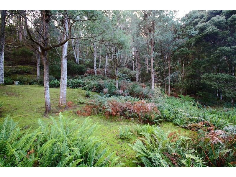 362 Bakers Creek Road, Lucaston TAS 7109