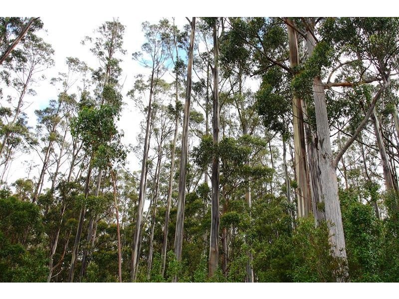 Lot 1 Maxfields  Road, Franklin TAS 7113