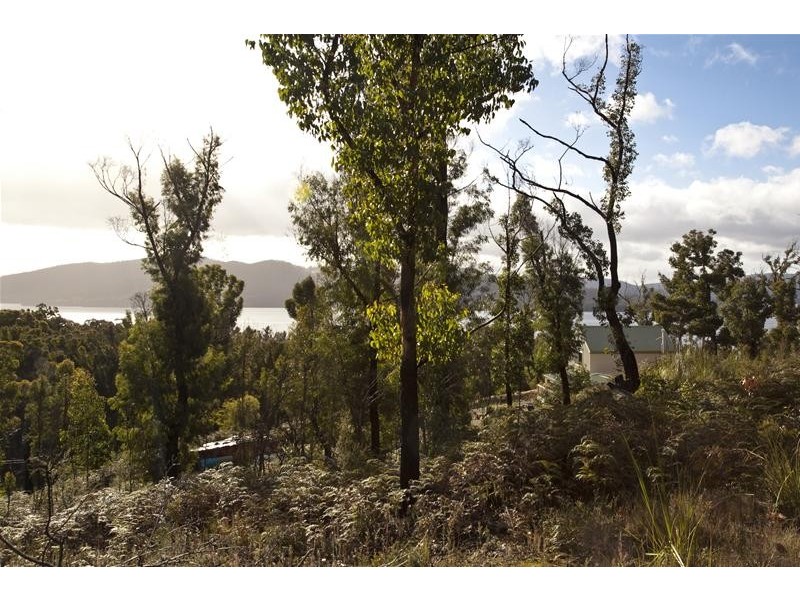 458 Esperance Coast Road, Brooks Bay TAS 7116