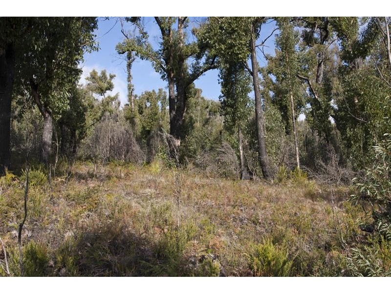 458 Esperance Coast Road, Brooks Bay TAS 7116