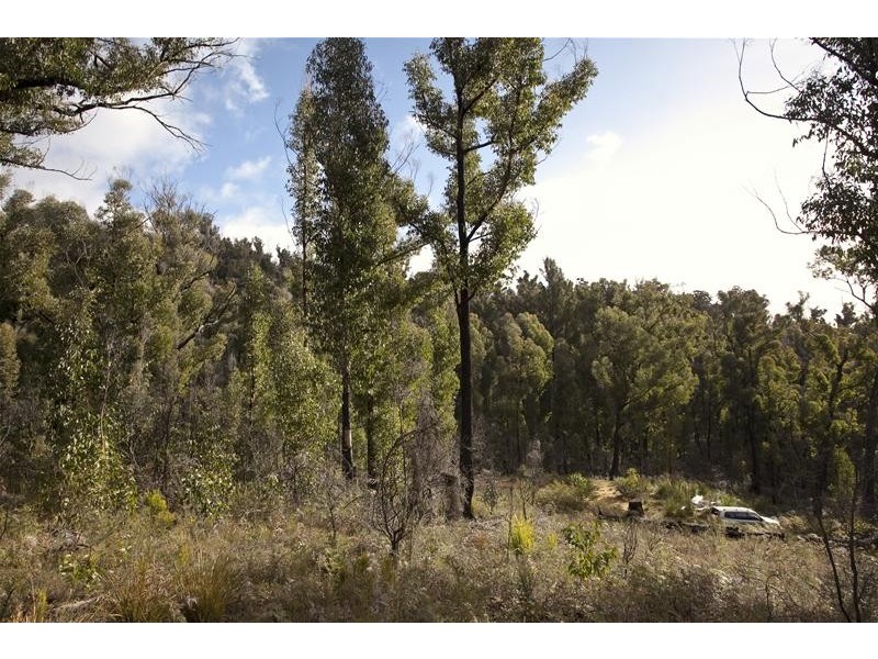 458 Esperance Coast Road, Brooks Bay TAS 7116