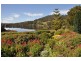 4061 Huon Highway, Castle Forbes Bay TAS 7116