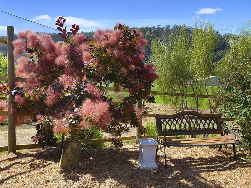 4046 Huon Highway, Castle Forbes Bay TAS 7116