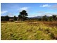 1 Harwoods Road, Castle Forbes Bay TAS 7116