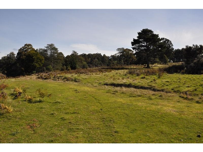 1 Harwoods Road, Castle Forbes Bay TAS 7116