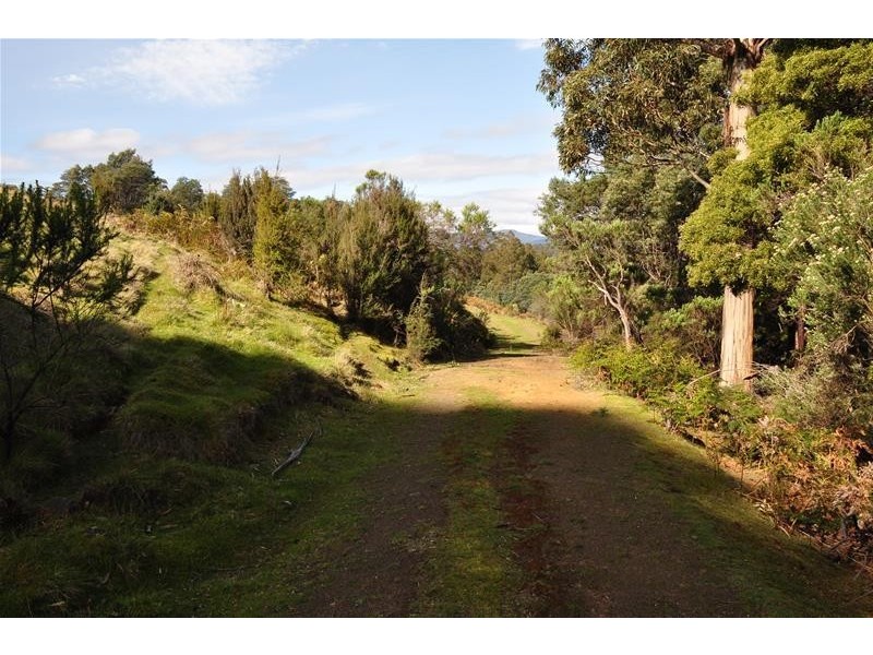 1 Harwoods Road, Castle Forbes Bay TAS 7116