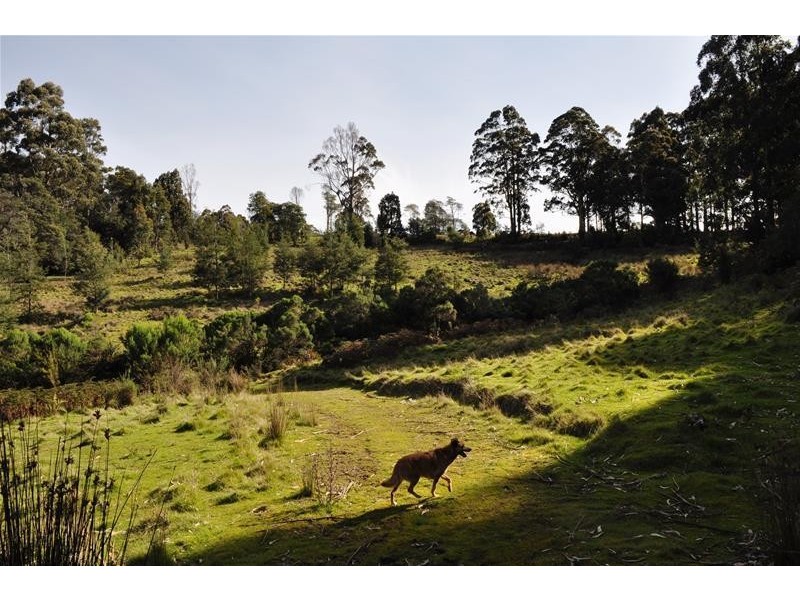 1 Harwoods Road, Castle Forbes Bay TAS 7116