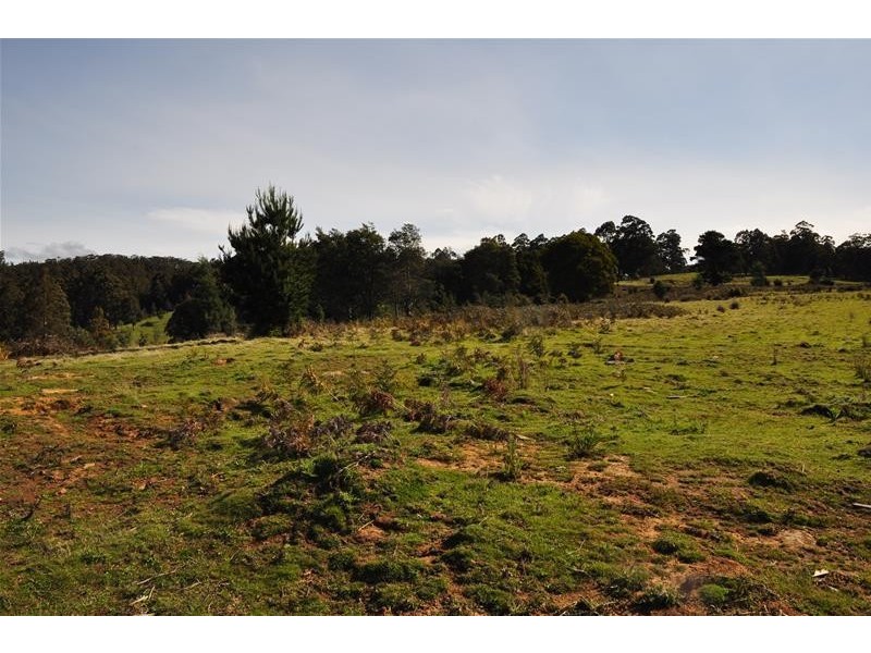 1 Harwoods Road, Castle Forbes Bay TAS 7116