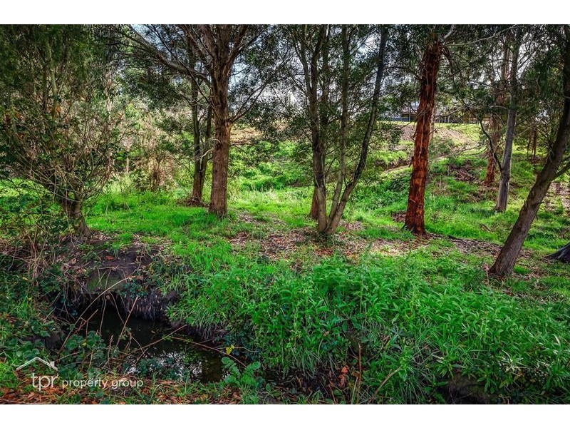 13 Dorgan Court, Cygnet TAS 7112