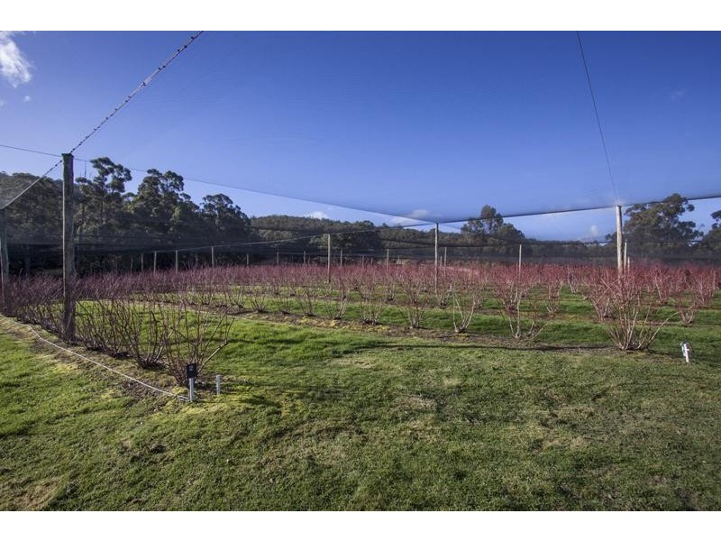 190 Cygnet Coast Road, Lymington TAS 7109