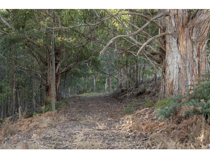 190 Cygnet Coast Road, Lymington TAS 7109