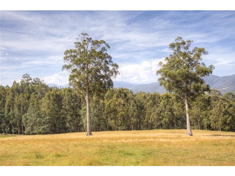 150 Morrisons Road, Huonville TAS 7109