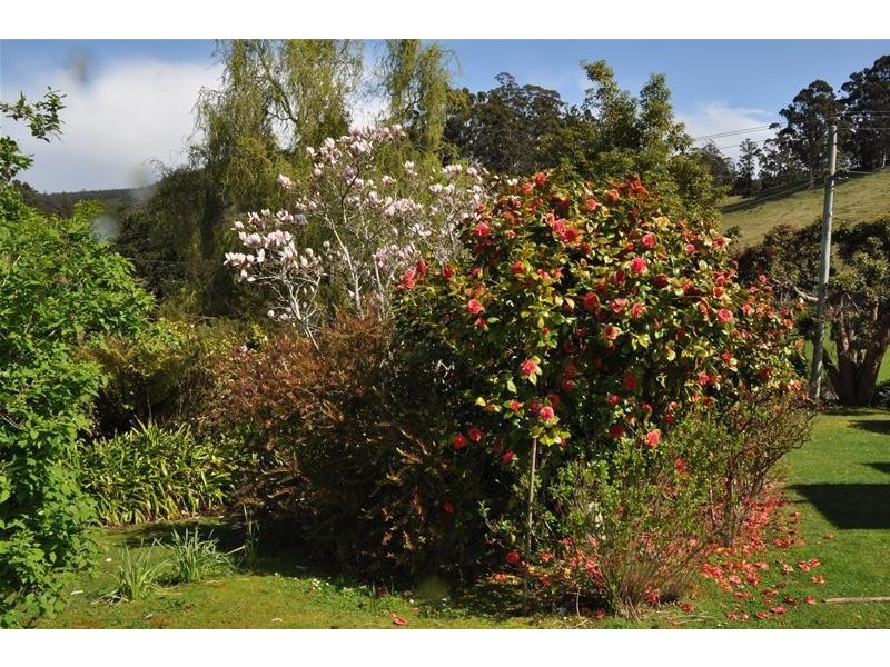 6449 Huon Highway, Dover TAS 7117