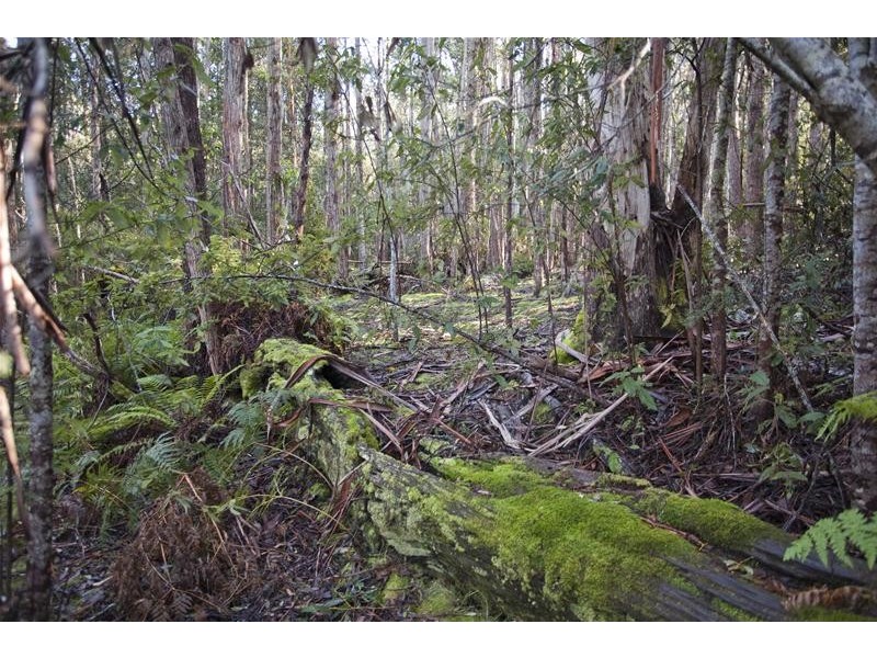 210 Morrisons Road, Franklin TAS 7113