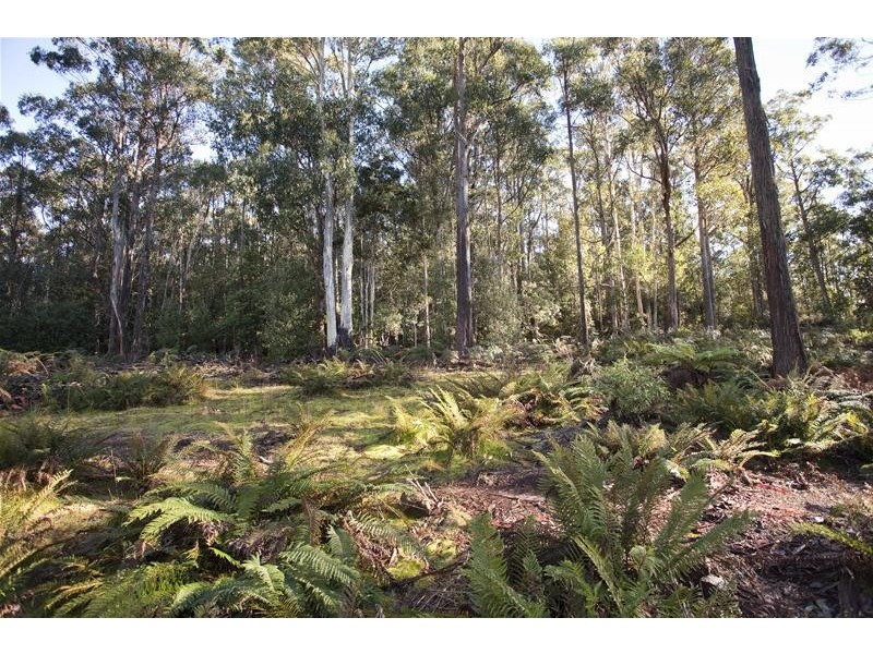 210 Morrisons Road, Franklin TAS 7113