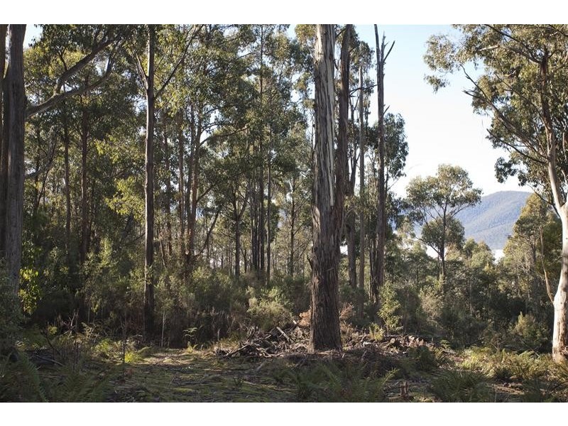 210 Morrisons Road, Franklin TAS 7113