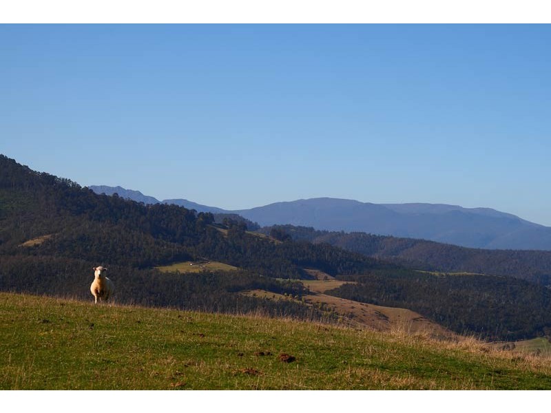 LOT 4 Lightwood Creek Road, Glen Huon TAS 7109