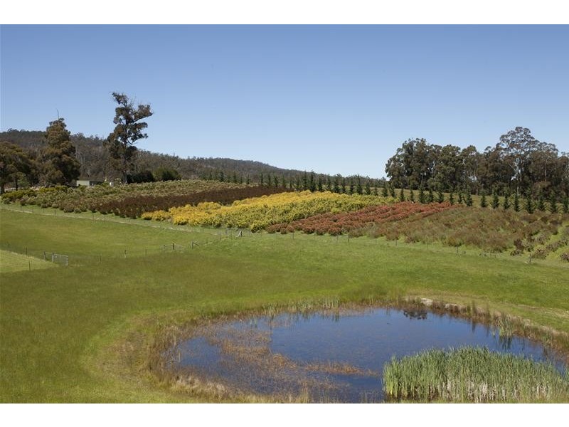 609 Silver Hill Road, Lower Wattle Grove TAS 7109