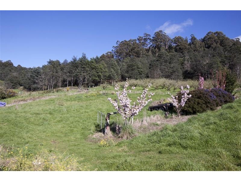 Lot 153914, 3494 Huon Highway, Franklin TAS 7113