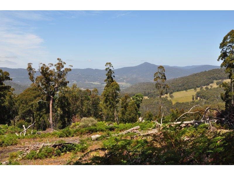Lot 1 Bygraves Road, Crabtree TAS 7109