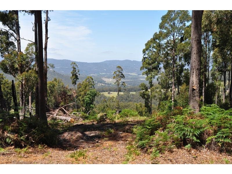 Lot 1 Bygraves Road, Crabtree TAS 7109
