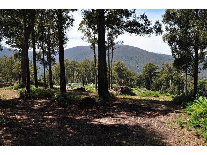 Lot 1 Bygraves Road, Crabtree TAS 7109