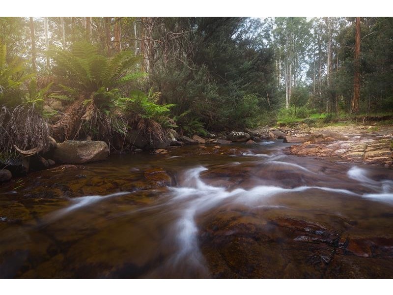 Mountain River TAS 7109