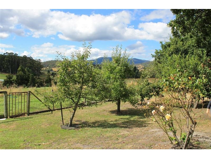 20 Emma Street, Cygnet TAS 7112