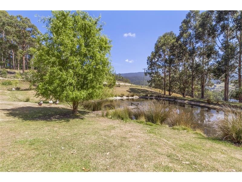 95 Misty Hill Road, Mountain River TAS 7109