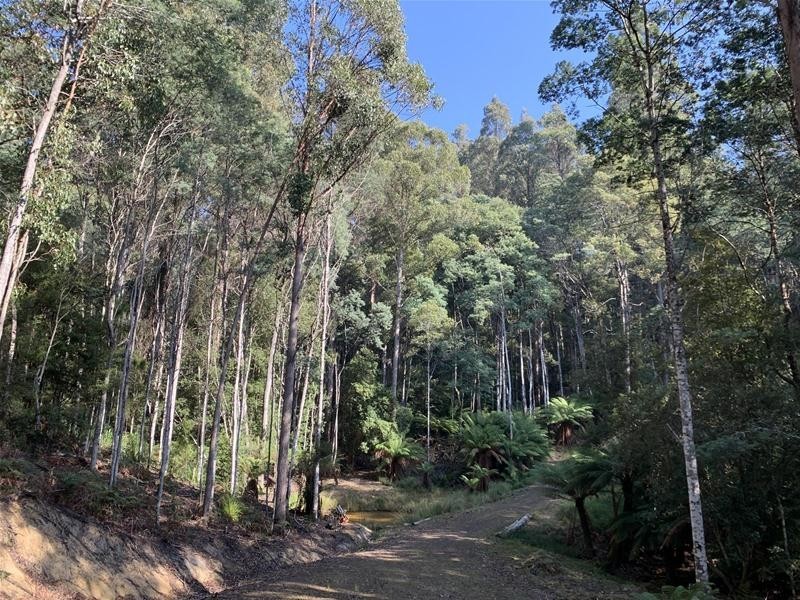 Jacksons Road, Franklin TAS 7113