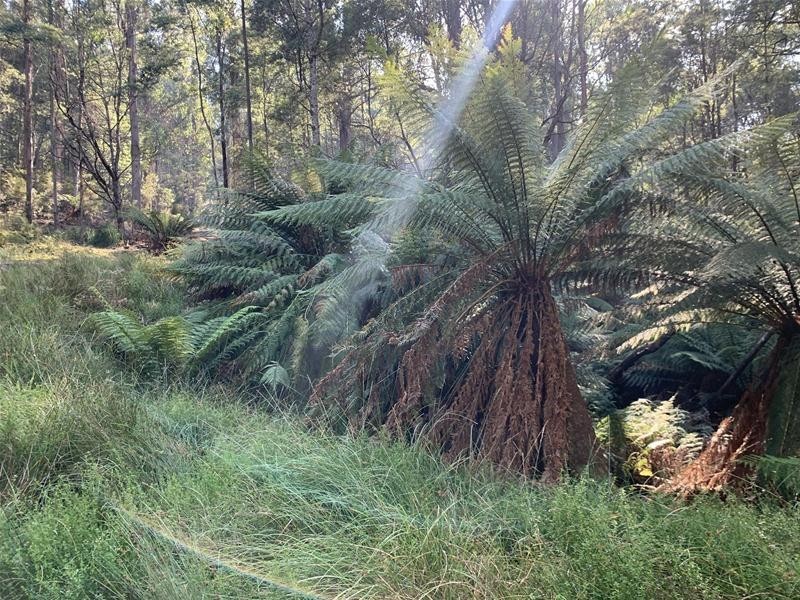 Jacksons Road, Franklin TAS 7113