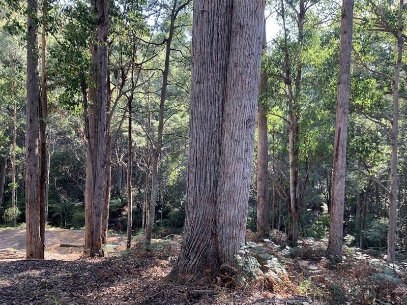 Jacksons Road, Franklin TAS 7113