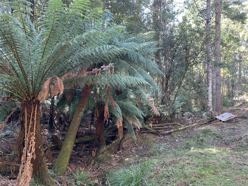 Jacksons Road, Franklin TAS 7113